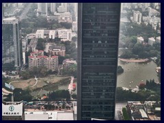 Lizhi Park (Lychee Park) and KK100 from Shun Hing Square. 